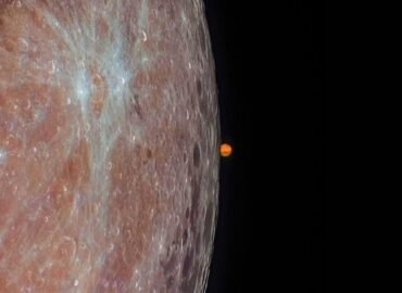 11135 Marsas Matomas Iš Už Mėnulio Astronomų Stebėjimo Rezultatai