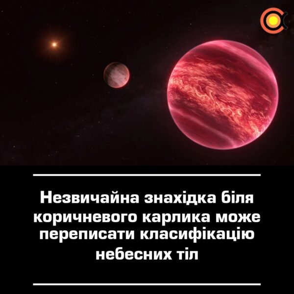 11741 Neįprastas Atradimas Prie Rudojo Nykštuko Gali Pakeisti Dang