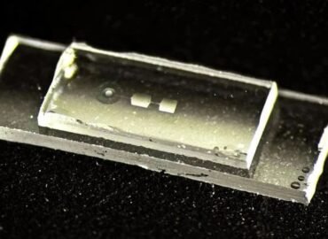2114 Eth Zurich Mokslininkai Kuria Kvantinį Kompiuterį Saugantį