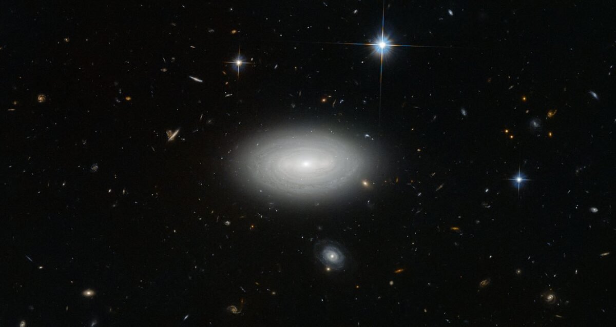 3582 Astronomai Tiria Galaktikų Pasiskirstymą Kosminėse Tuštumose
