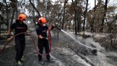 Pranczijoje Savanoris Ugniagesys Tariamas Suklus Miko Gaisr