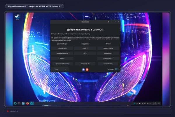 Wayland aplenkia X11 žaidimuose naudojant NVIDIA ir KDE Plasma 6.7
