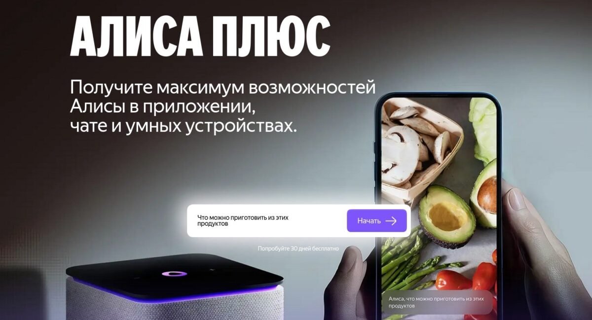 Yandex Didina Alisa Plus Kain Iki 199 Rubli Per Mnes