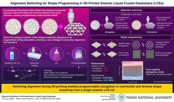Pietų Korėjos mokslininkai sukūrė 3D spausdinamas dirbtines raumenis