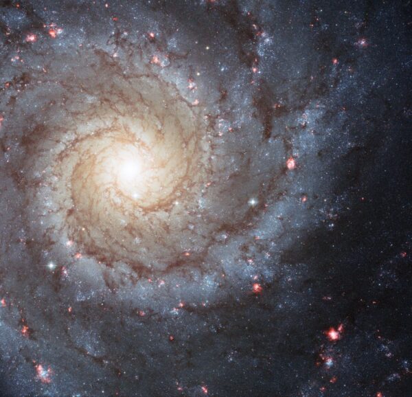 Spiralė M74 – įspūdingas Grand Design tipo galaktikos pavyzdys