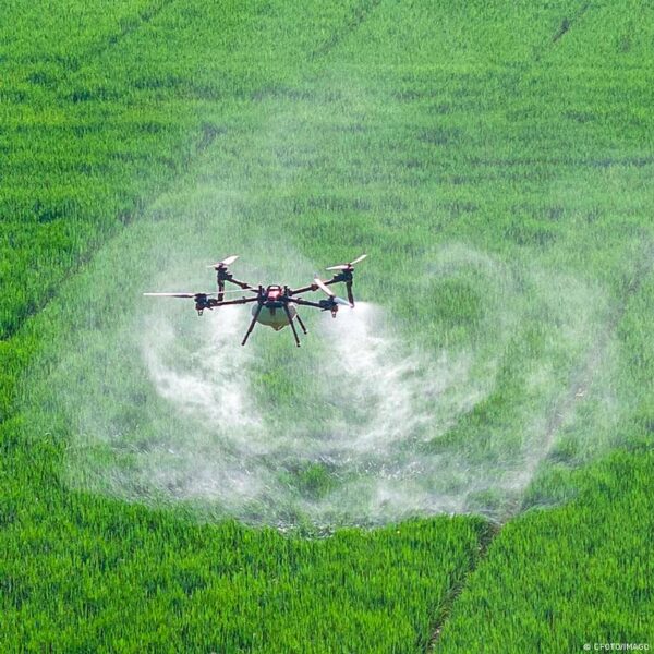 ES planuoja leisti dronams purkšti pesticidus, tačiau kyla rizika