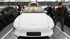 Kinijoje atšaukiama beveik trys milijonai Tesla automobilių dėl paslėptų durų rankenėlių