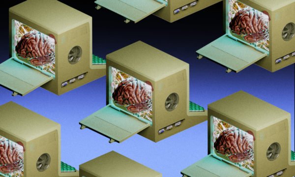 Laboratorijose Auginami Mini Mogaus Smegen Organoidai Gali Pranokti Dirbtinius Neuroninius Tinklus