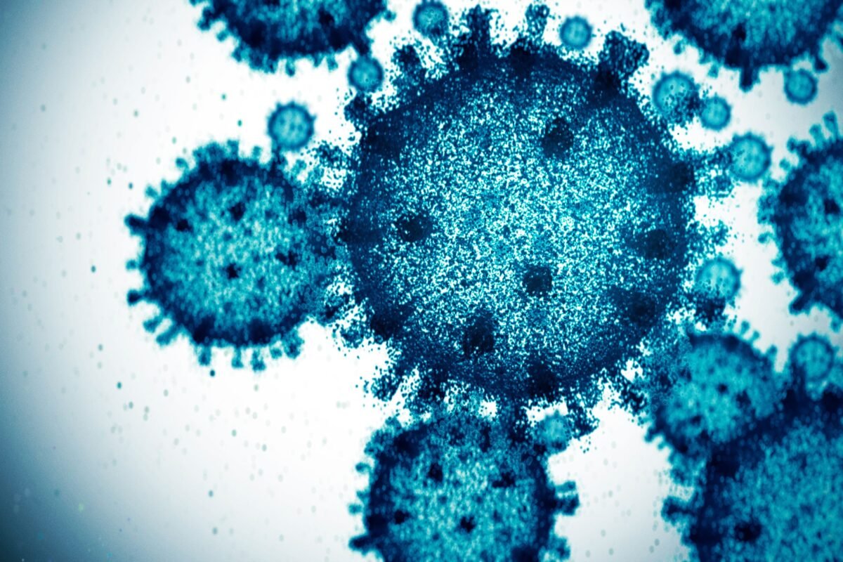 Mokslininkai Pasitelk Dirbtin Intelekt 16 Nauj Virus Krimui