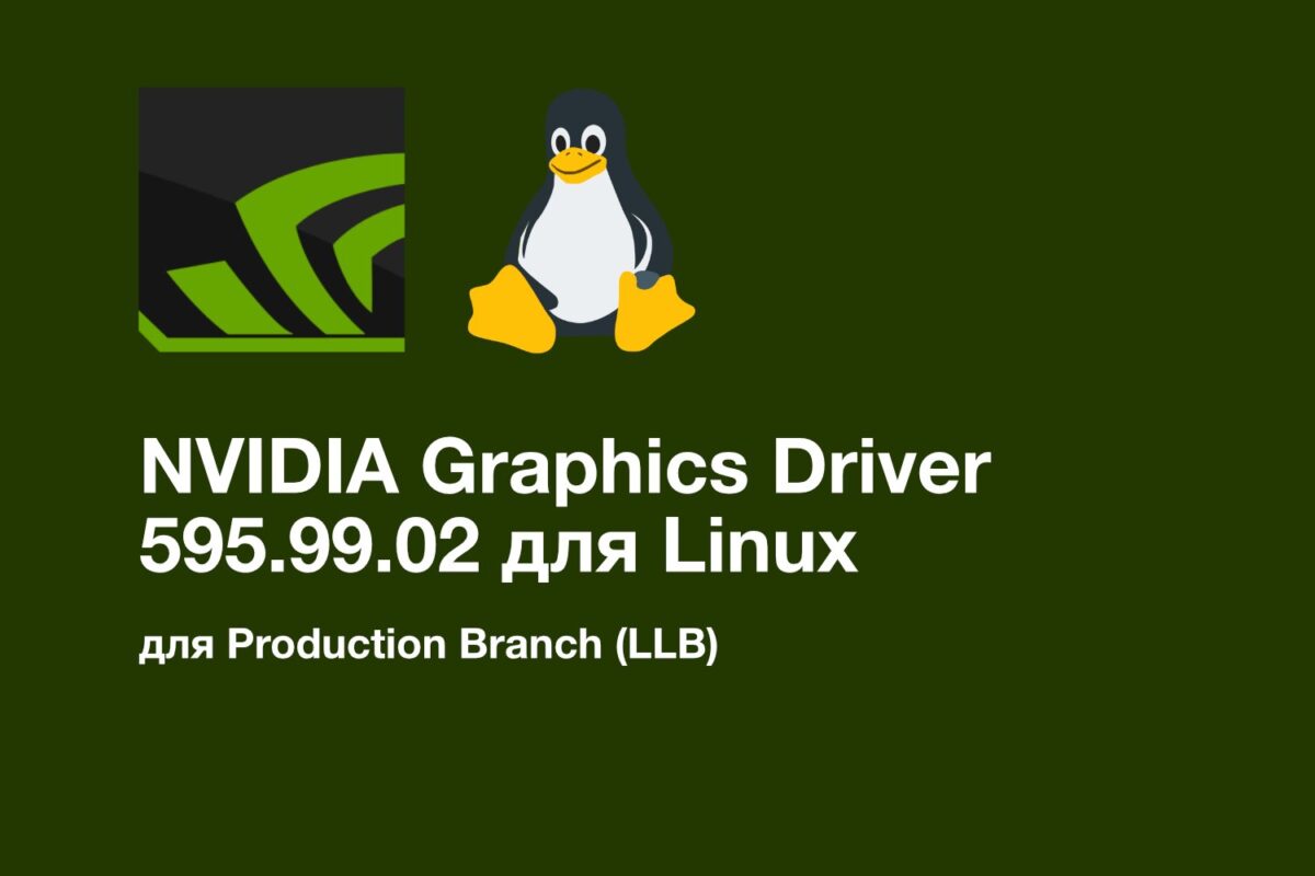 Nvidia Ileido Nauj Linux Draiver Su Pataisymais Blackwell Vaizdo Kortoms