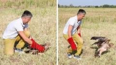 Serbijoje pagrobtas retas erelis Feliksas išlaisvintas ir paleistas į laisvę