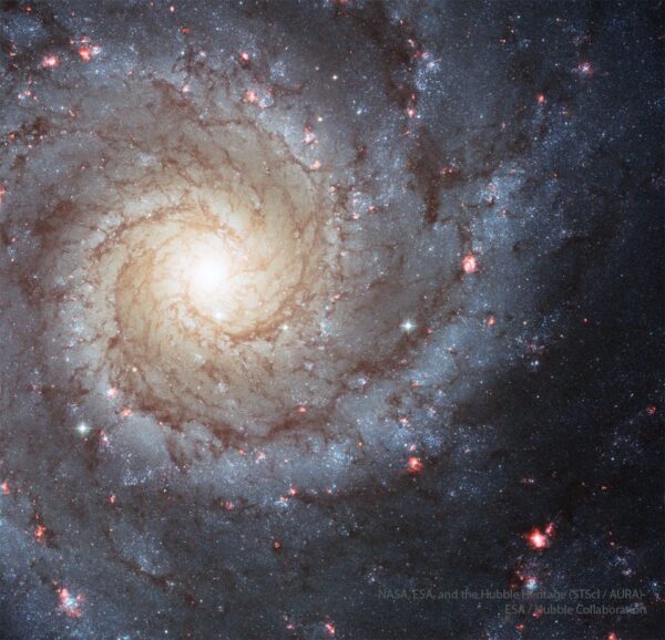Spiralė M74: įspūdinga galaktika su 100 mlrd. žvaigždžių