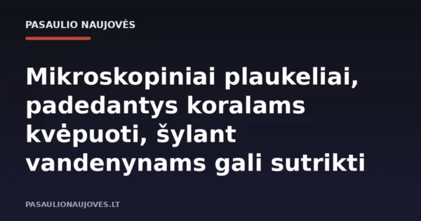 Mikroskopiniai plaukeliai, padedantys koralams kvėpuoti, šylant vandenynams gali sutrikti