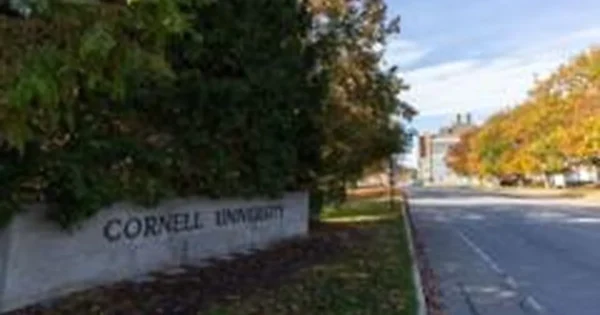 JAV prokurorai atnaujino tyrimą dėl įtariamo grupinio išžaginimo Cornell universitete