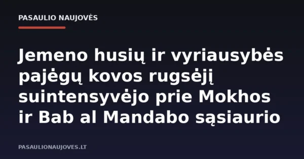 Jemeno husių ir vyriausybės pajėgų kovos rugsėjį suintensyvėjo prie Mokhos ir Bab al Mandabo sąsiaurio