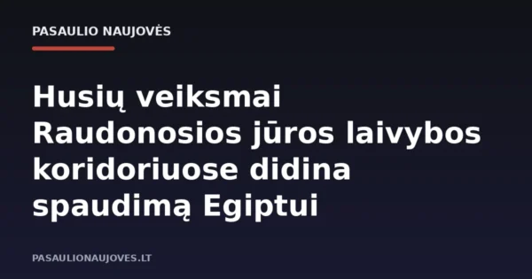 Husių veiksmai Raudonosios jūros laivybos koridoriuose didina spaudimą Egiptui