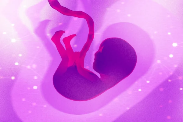 Origin Genomics įkūrėja gina žmogaus embrionų genų redagavimą paveldimoms ligoms mažinti