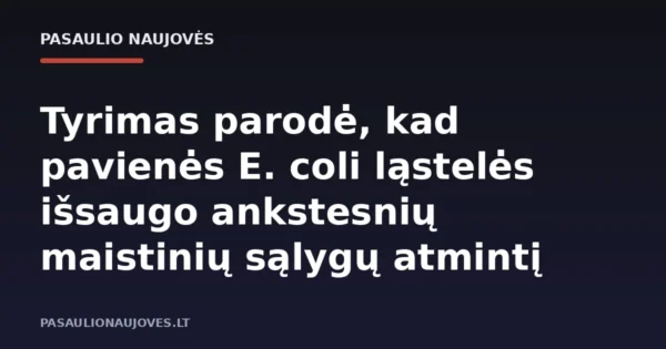 Tyrimas parodė, kad pavienės E. coli ląstelės išsaugo ankstesnių maistinių sąlygų atmintį