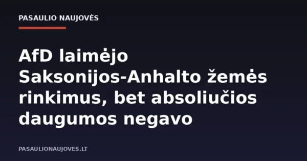 AfD laimėjo Saksonijos-Anhalto žemės rinkimus, bet absoliučios daugumos negavo
