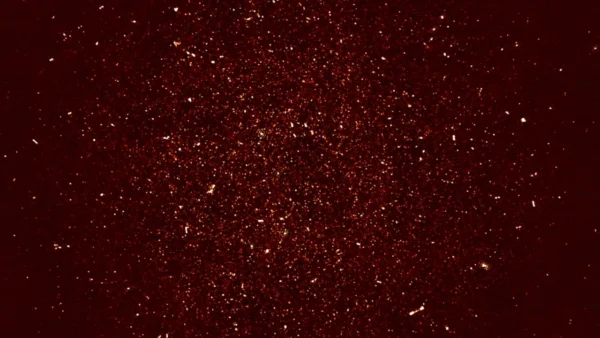 MeerKAT užfiksavo silpnus neutralaus vandenilio radijo signalus iš tolimos Visatos