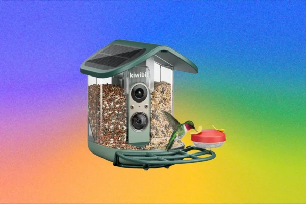Kiwibit Bird Feeder 2 Pro apžvalgoje išskirta gera vaizdo kokybė ir prenumeratos ribojimai