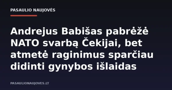 Andrejus Babišas pabrėžė NATO svarbą Čekijai, bet atmetė raginimus sparčiau didinti gynybos išlaidas