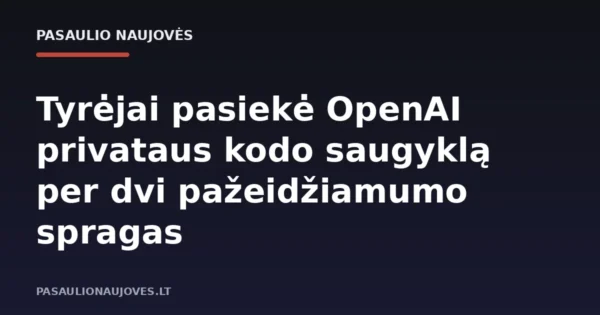Tyrėjai pasiekė OpenAI privataus kodo saugyklą per dvi pažeidžiamumo spragas