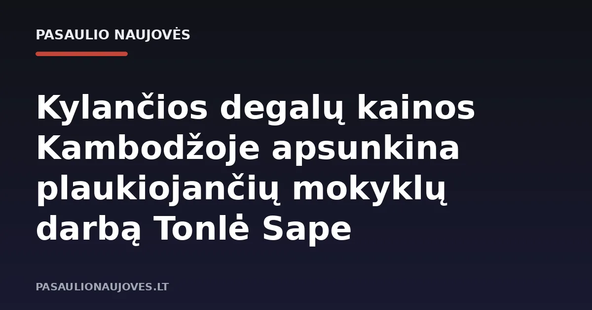 Kylančios degalų kainos Kambodžoje apsunkina plaukiojančių mokyklų darbą Tonlė Sape