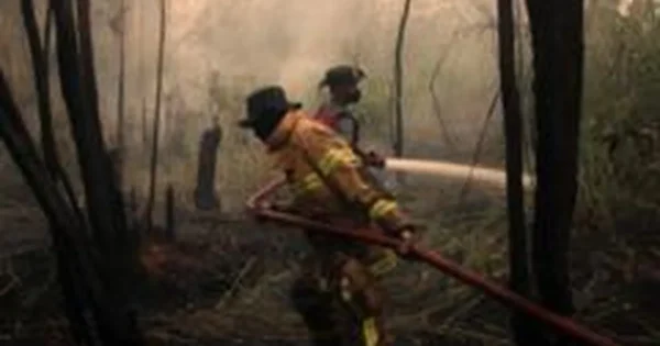 Besivystantis El Niño tapo stipriausiu per stebėjimų istoriją dar prieš numatomą piką