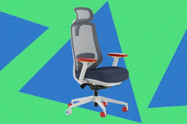 Branch Ergonomic Chair Pro SEGA Edition apžvalga