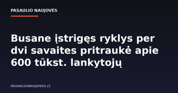 Busane įstrigęs ryklys per dvi savaites pritraukė apie 600 tūkst. lankytojų