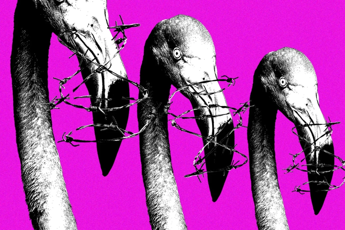 Per protestus Albanijoje Meta sustabdė dešimtis su aktyvistais ir žurnalistais susijusių Instagram paskyrų