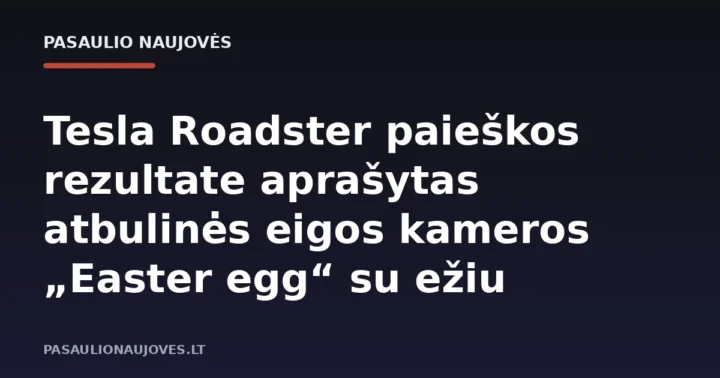 Tesla Roadster paieškos rezultate aprašytas atbulinės eigos kameros „Easter egg“ su ežiu