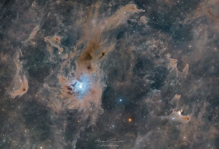 Cepheus Flare pakraštyje matomi dulkių debesys: Vaiduoklio ir Iris ūkas