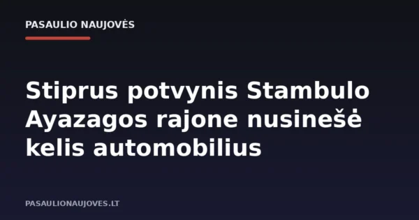 Stiprus potvynis Stambulo Ayazagos rajone nusinešė kelis automobilius