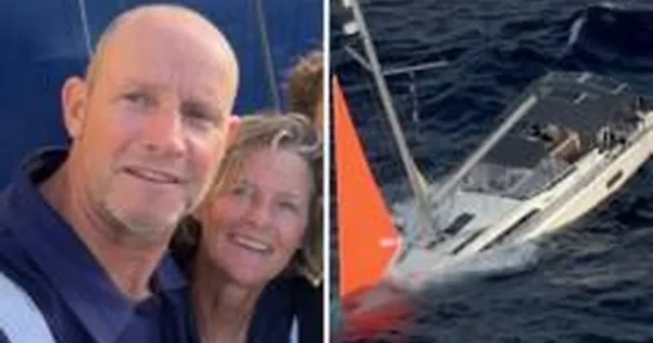 Netoli Naujosios Zelandijos jachta atsitrenkė į kašalotą, įgula buvo išgelbėta