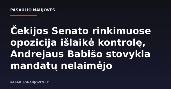 Čekijos Senato rinkimuose opozicija išlaikė kontrolę, Andrejaus Babišo stovykla mandatų nelaimėjo