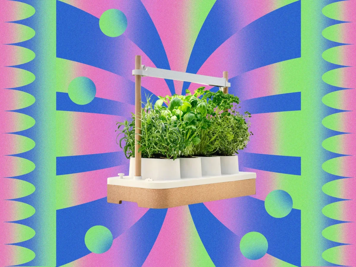 Auk Mini Indoor Garden išpardavime atpigo iki 199 dolerių