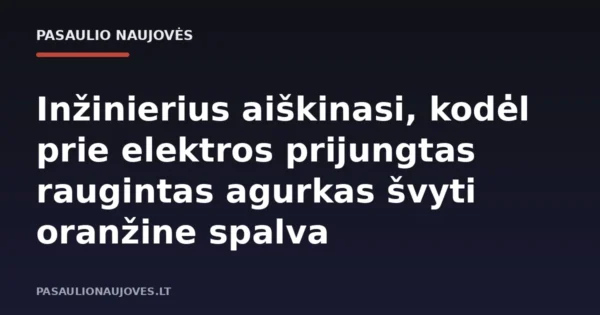 Inžinierius aiškinasi, kodėl prie elektros prijungtas raugintas agurkas švyti oranžine spalva
