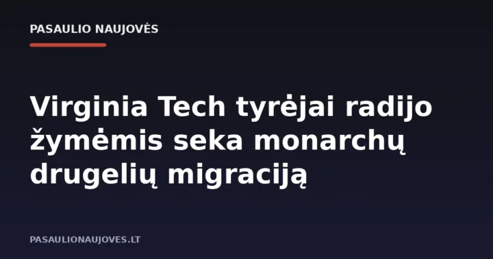 Virginia Tech tyrėjai radijo žymėmis seka monarchų drugelių migraciją