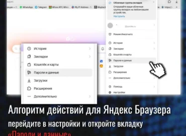 MVD parodė, kaip patikrinti išsaugotų slaptažodžių saugumą „Yandex Browser“ ir „Google Chrome“