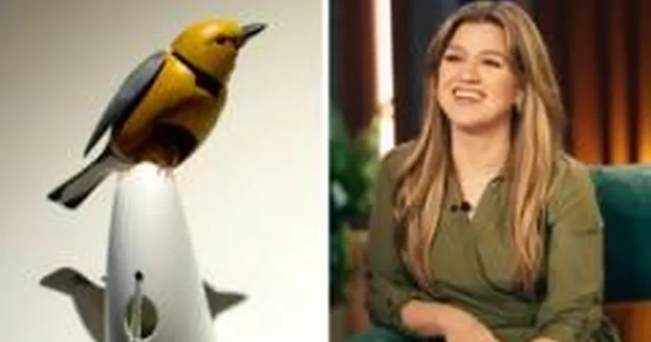 Brooklyno parduotuvė atsidūrė ginče su Kelly Clarkson dėl mechaninio paukščio