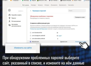 MVD parodė, kaip patikrinti išsaugotų slaptažodžių saugumą „Yandex Browser“ ir „Google Chrome“
