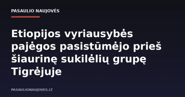 Etiopijos vyriausybės pajėgos pasistūmėjo prieš šiaurinę sukilėlių grupę Tigrėjuje