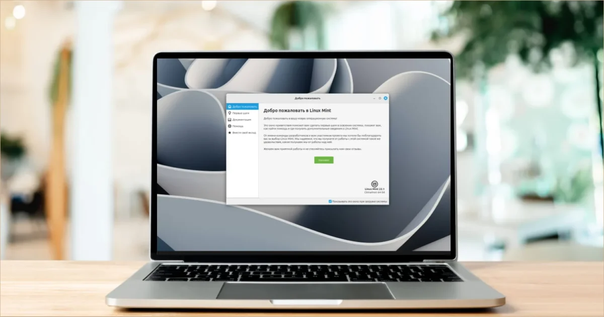 Kita didžioji Linux Mint versija vadinsis Adrien