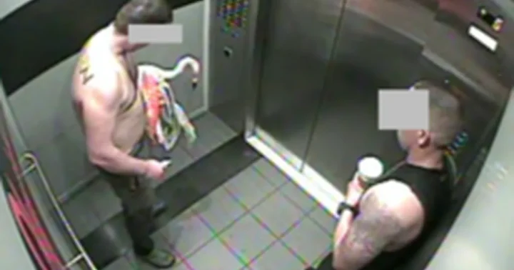 Kanados turistas pripažintas kaltu dėl žiauraus elgesio su gyvūnu po flamingo vagystės Las Vegase