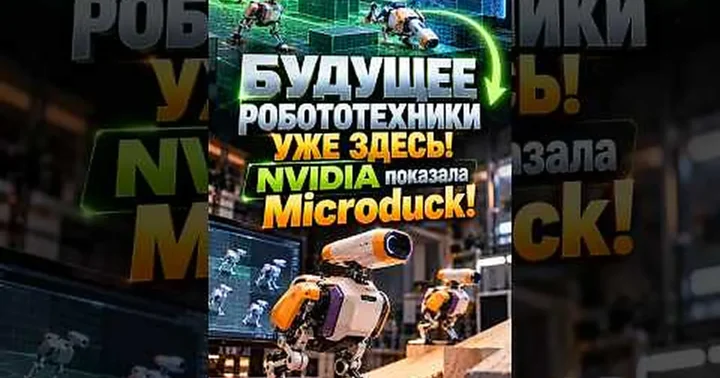 Xenon Lab pasakoja apie Nvidia eksperimentą: mini robotai buvo mokomi simuliacijoje