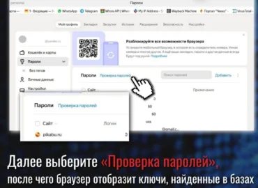 MVD parodė, kaip patikrinti išsaugotų slaptažodžių saugumą „Yandex Browser“ ir „Google Chrome“